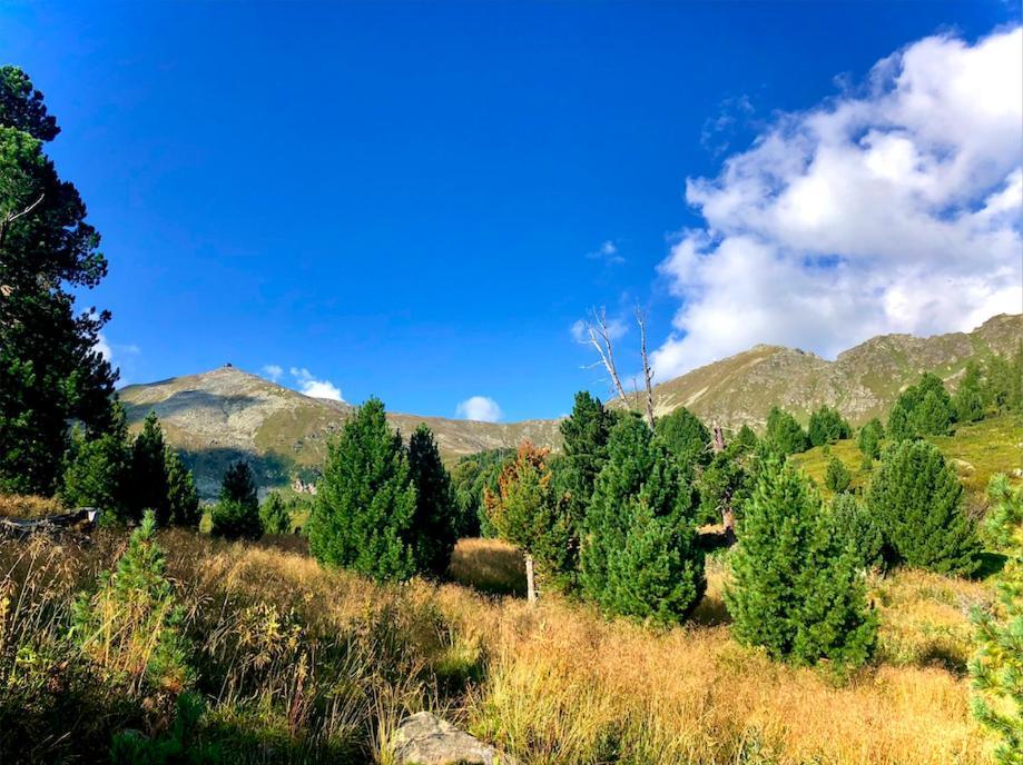 Ferienhaus Mit Zirbitzblick Monchegg エクステリア 写真